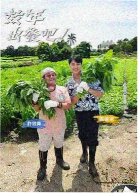 草榴影院采集与清洗工序